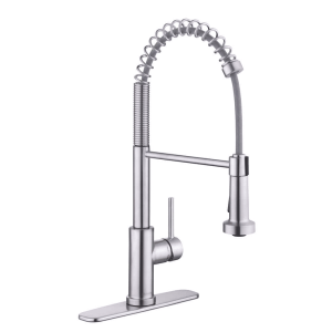 Glacier Bay Paulina Single-Handle Spring Neck Pull Down Sprayer Kitchen Faucet